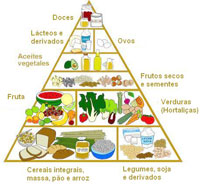 piramide-alimentar