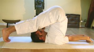 https://commons.wikimedia.org/wiki/File:Halasana.jpg