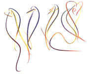 colour_1